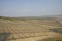 Cjp_2010_04_20_152828 (1).jpg